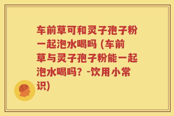 车前草可和灵子孢子粉一起泡水喝吗 (车前草与灵子孢子粉能一起泡水喝吗？-饮用小常识)
