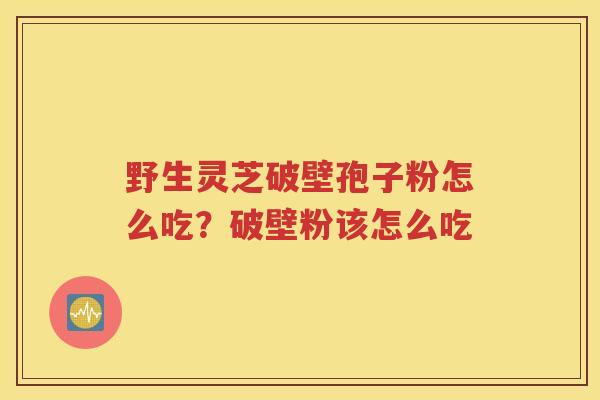 野生灵芝破壁孢子粉怎么吃？破壁粉该怎么吃