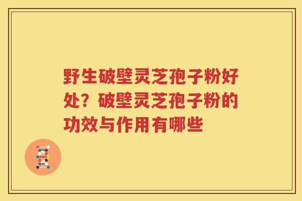 野生破壁灵芝孢子粉好处？破壁灵芝孢子粉的功效与作用有哪些