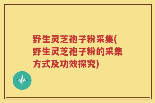 野生灵芝孢子粉采集(野生灵芝孢子粉的采集方式及功效探究)