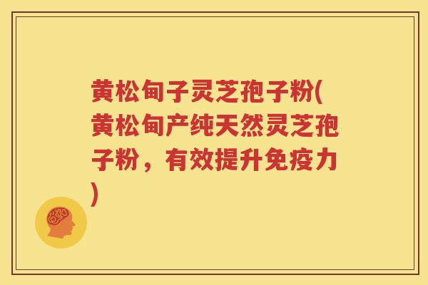 黄松甸子灵芝孢子粉(黄松甸产纯天然灵芝孢子粉，有效提升免疫力)