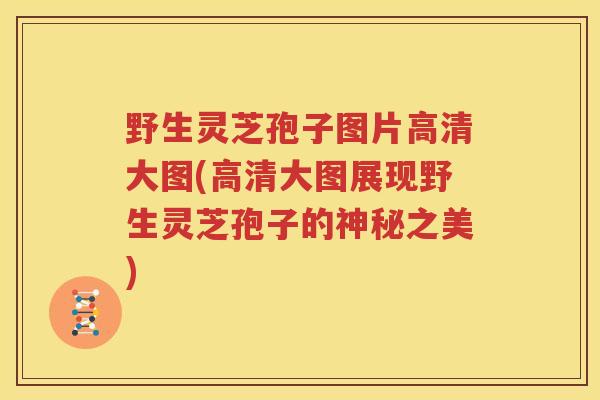 野生灵芝孢子图片高清大图(高清大图展现野生灵芝孢子的神秘之美)