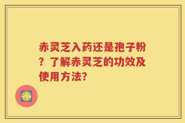 赤灵芝入药还是孢子粉？了解赤灵芝的功效及使用方法？