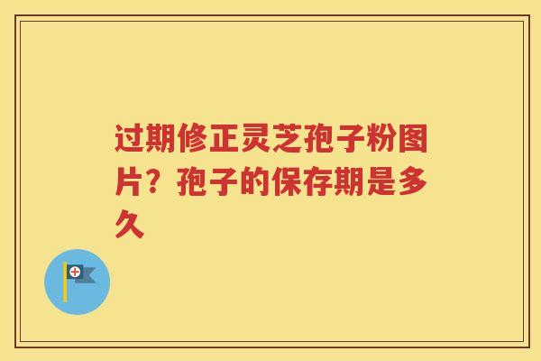 过期修正灵芝孢子粉图片？孢子的保存期是多久
