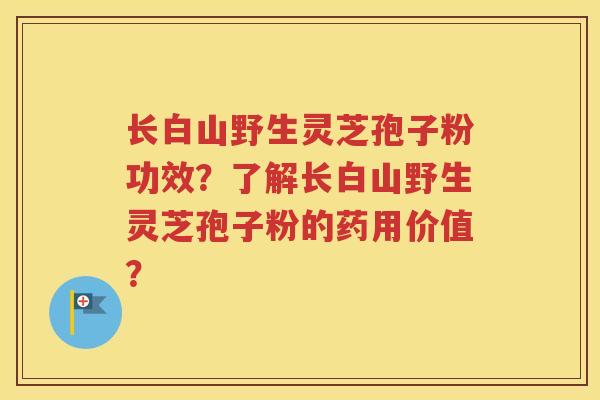 长白山野生灵芝孢子粉功效？了解长白山野生灵芝孢子粉的药用价值？