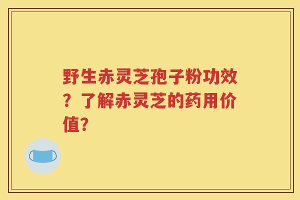 野生赤灵芝孢子粉功效？了解赤灵芝的药用价值？