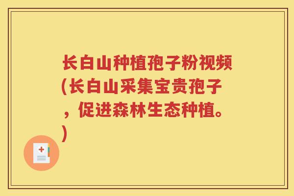 长白山种植孢子粉视频(长白山采集宝贵孢子，促进森林生态种植。)