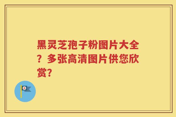 黑灵芝孢子粉图片大全？多张高清图片供您欣赏？
