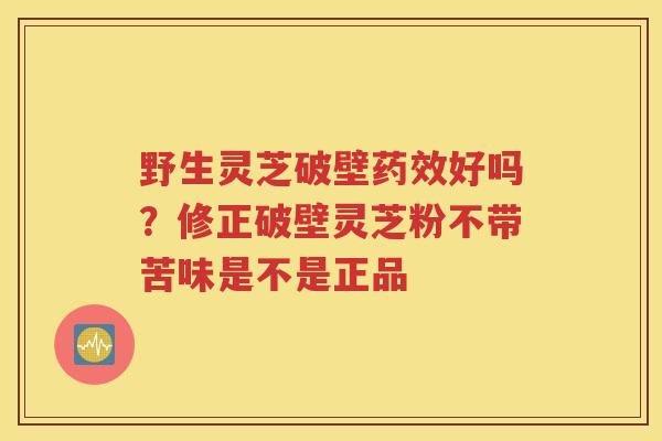 野生灵芝破壁药效好吗？修正破壁灵芝粉不带苦味是不是正品