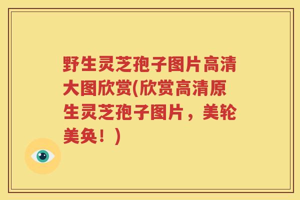 野生灵芝孢子图片高清大图欣赏(欣赏高清原生灵芝孢子图片，美轮美奂！)