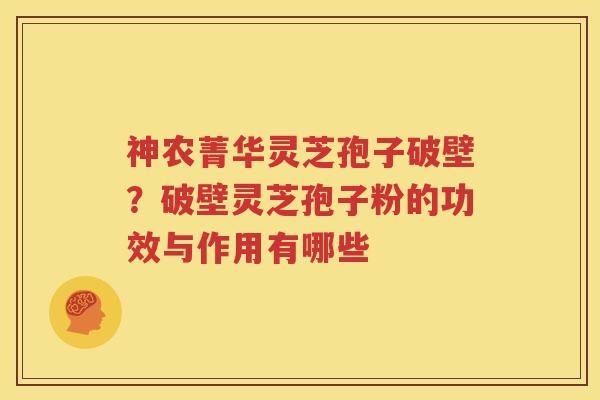 神农菁华灵芝孢子破壁？破壁灵芝孢子粉的功效与作用有哪些