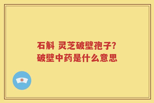 石斛 灵芝破壁孢子？破壁中药是什么意思