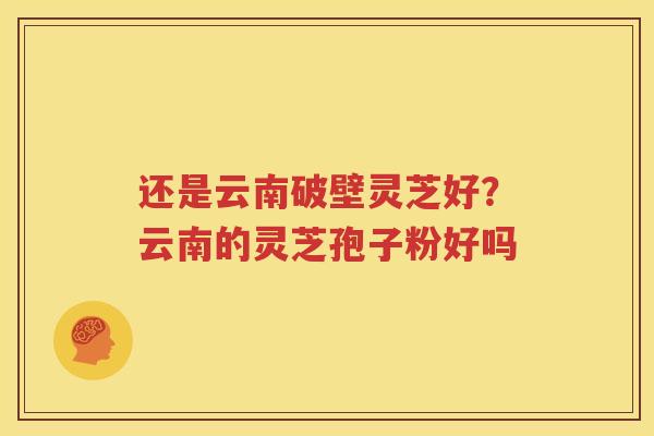 还是云南破壁灵芝好？云南的灵芝孢子粉好吗