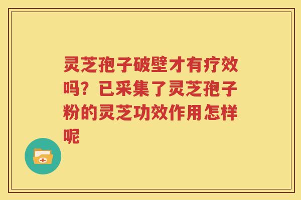 灵芝孢子破壁才有疗效吗？已采集了灵芝孢子粉的灵芝功效作用怎样呢