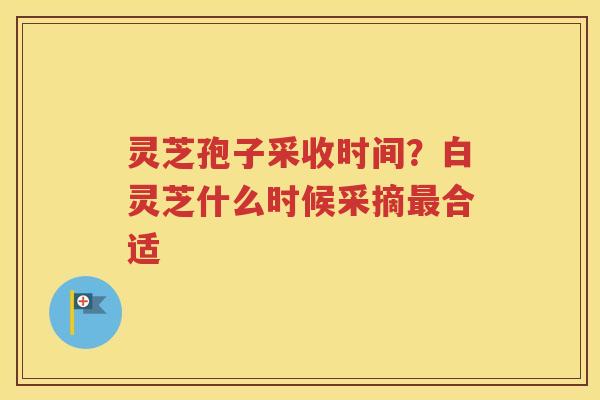 灵芝孢子采收时间？白灵芝什么时候采摘最合适