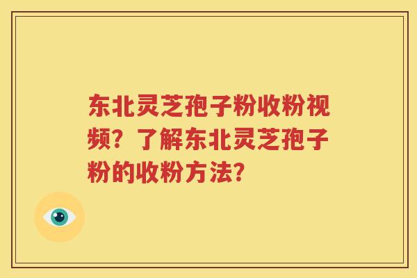 东北灵芝孢子粉收粉视频？了解东北灵芝孢子粉的收粉方法？