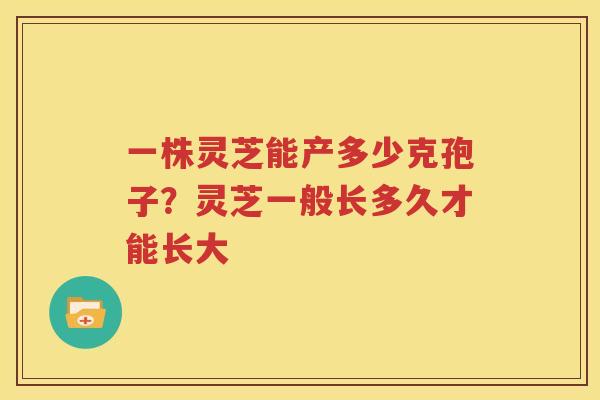 一株灵芝能产多少克孢子？灵芝一般长多久才能长大