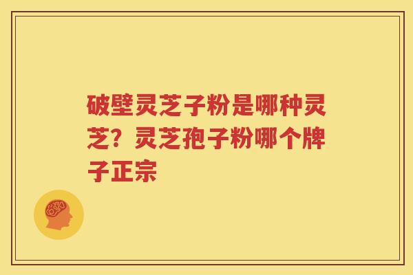 破壁灵芝子粉是哪种灵芝？灵芝孢子粉哪个牌子正宗