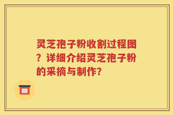 灵芝孢子粉收割过程图？详细介绍灵芝孢子粉的采摘与制作？
