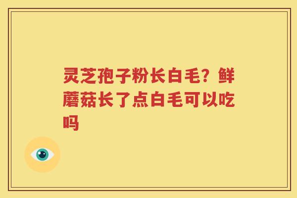灵芝孢子粉长白毛？鲜蘑菇长了点白毛可以吃吗