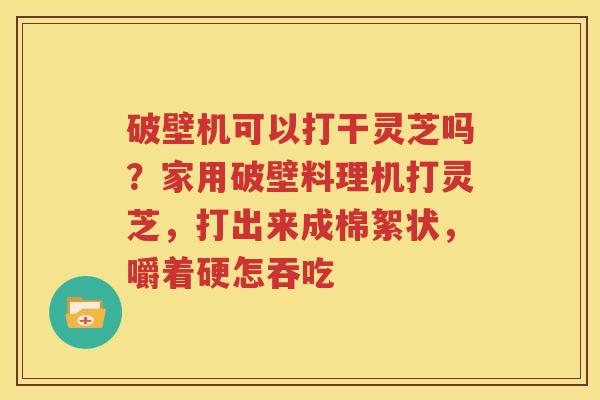 破壁机可以打干灵芝吗？家用破壁料理机打灵芝，打出来成棉絮状，嚼着硬怎吞吃