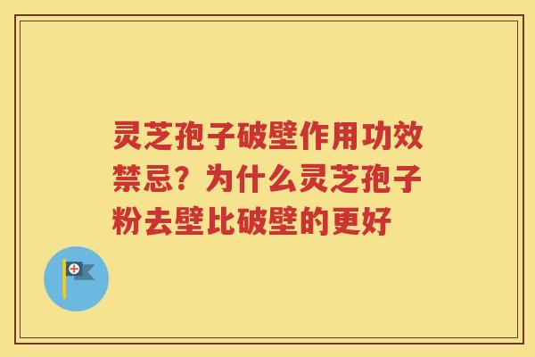 灵芝孢子破壁作用功效禁忌？为什么灵芝孢子粉去壁比破壁的更好