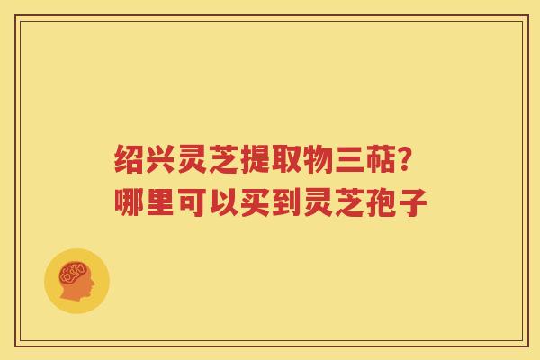 绍兴灵芝提取物三萜？哪里可以买到灵芝孢子