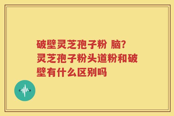 破壁灵芝孢子粉 脑？灵芝孢子粉头道粉和破壁有什么区别吗