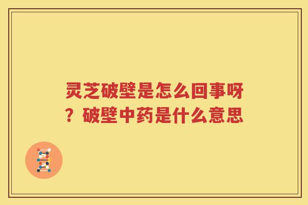 灵芝破壁是怎么回事呀？破壁中药是什么意思