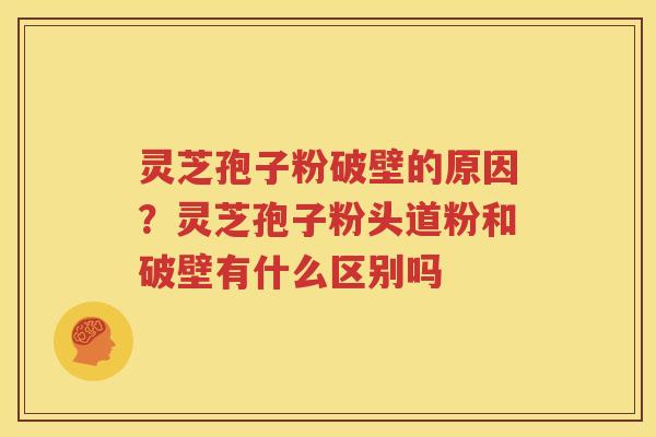 灵芝孢子粉破壁的原因？灵芝孢子粉头道粉和破壁有什么区别吗