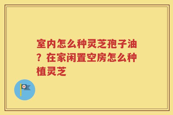 室内怎么种灵芝孢子油？在家闲置空房怎么种植灵芝