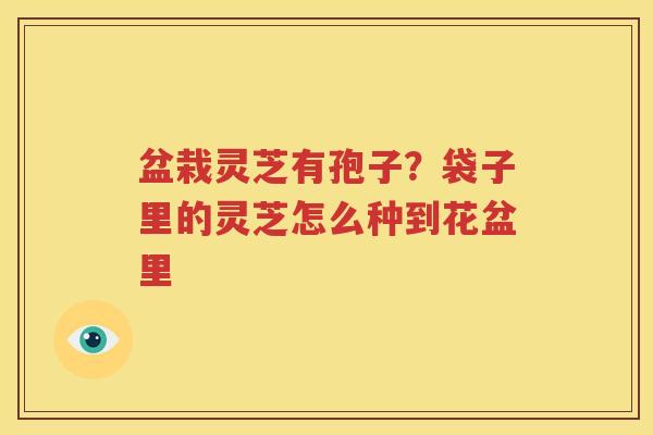 盆栽灵芝有孢子？袋子里的灵芝怎么种到花盆里