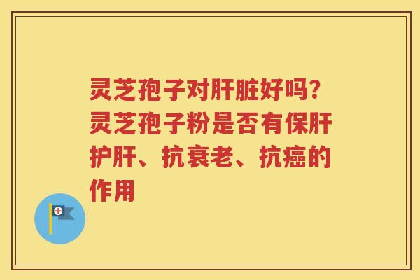 灵芝孢子对肝脏好吗？灵芝孢子粉是否有保肝护肝、抗衰老、抗癌的作用
