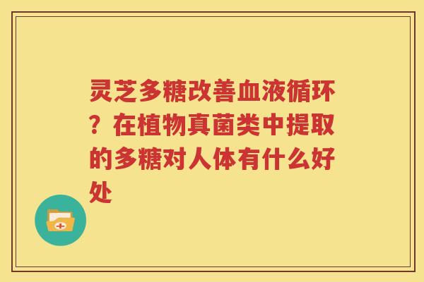 灵芝多糖改善血液循环？在植物真菌类中提取的多糖对人体有什么好处