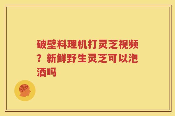 破壁料理机打灵芝视频？新鲜野生灵芝可以泡酒吗