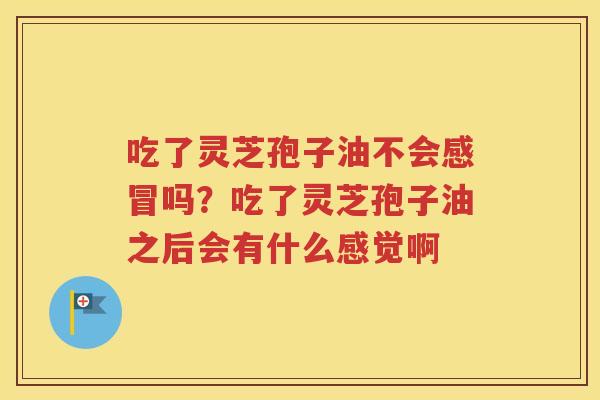 吃了灵芝孢子油不会感冒吗？吃了灵芝孢子油之后会有什么感觉啊