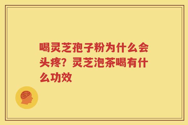 喝灵芝孢子粉为什么会头疼？灵芝泡茶喝有什么功效