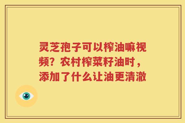 灵芝孢子可以榨油嘛视频？农村榨菜籽油时，添加了什么让油更清澈