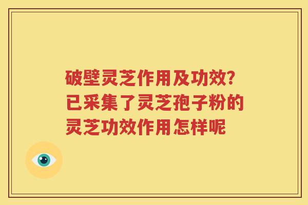 破壁灵芝作用及功效？已采集了灵芝孢子粉的灵芝功效作用怎样呢