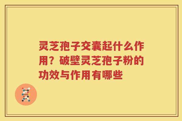 灵芝孢子交囊起什么作用？破壁灵芝孢子粉的功效与作用有哪些