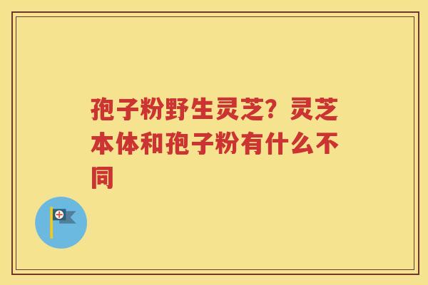孢子粉野生灵芝？灵芝本体和孢子粉有什么不同
