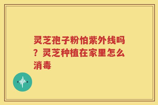 灵芝孢子粉怕紫外线吗？灵芝种植在家里怎么消毒