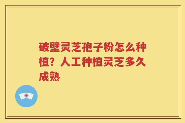 破壁灵芝孢子粉怎么种植？人工种植灵芝多久成熟