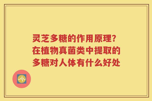 灵芝多糖的作用原理？在植物真菌类中提取的多糖对人体有什么好处