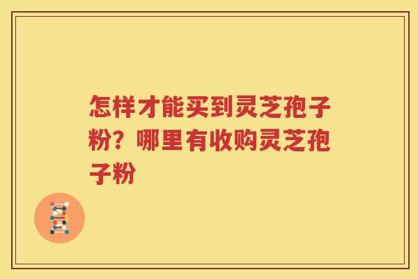 怎样才能买到灵芝孢子粉？哪里有收购灵芝孢子粉