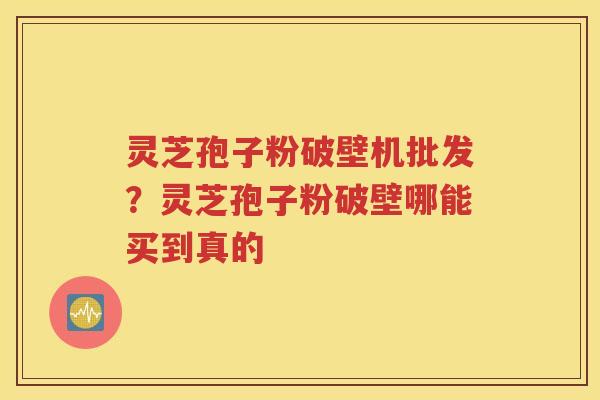 灵芝孢子粉破壁机批发？灵芝孢子粉破壁哪能买到真的