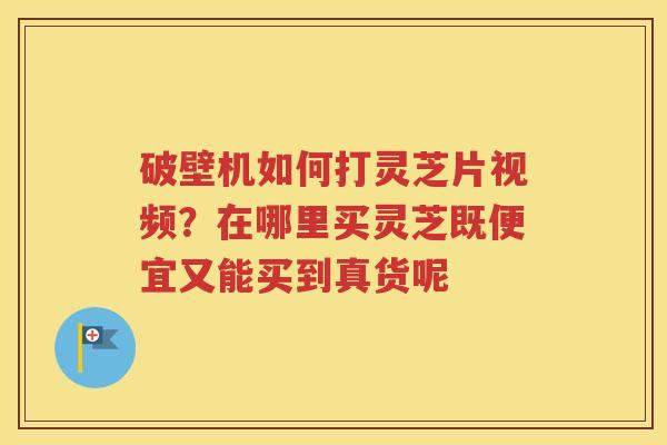 破壁机如何打灵芝片视频？在哪里买灵芝既便宜又能买到真货呢