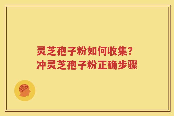 灵芝孢子粉如何收集？冲灵芝孢子粉正确步骤