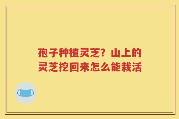 孢子种植灵芝？山上的灵芝挖回来怎么能栽活