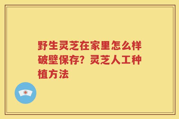 野生灵芝在家里怎么样破壁保存？灵芝人工种植方法